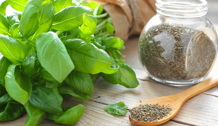 Substitute Dried Basil For Fresh