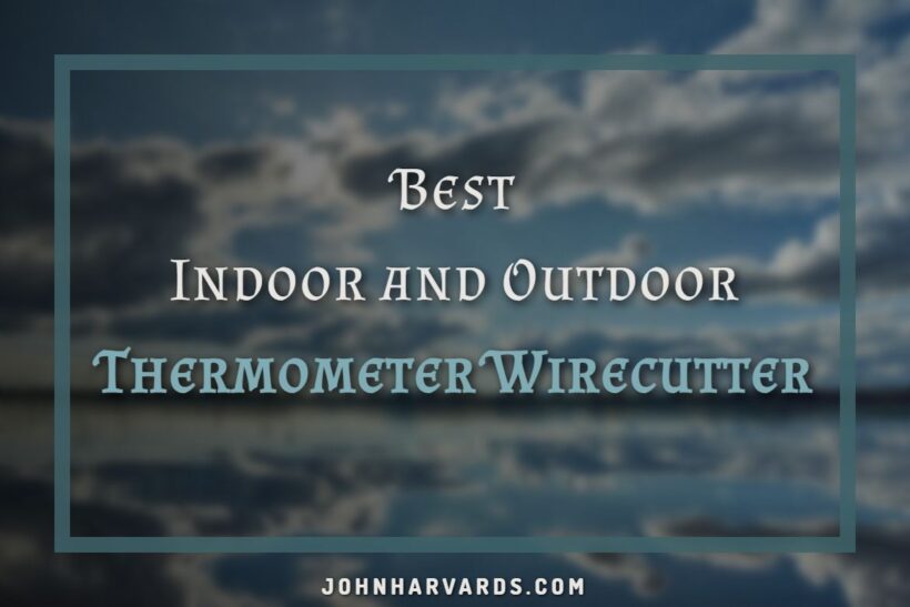 Best IndoorOutdoor Thermometer Wirecutter Weather Monitor