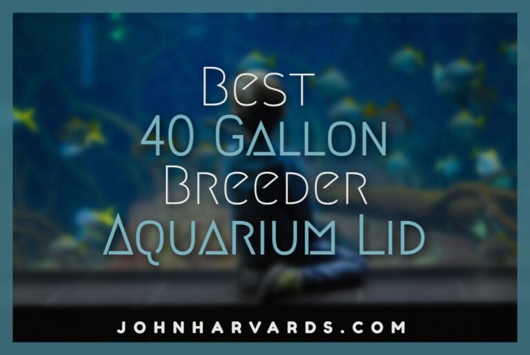 Best 40 Gallon Breeder Aquarium Lid
