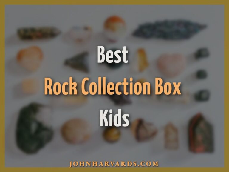 Best Rock Collection Box Kids