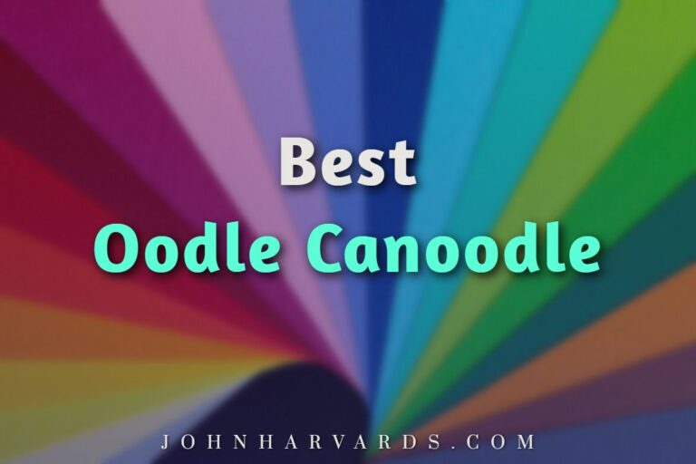 Best Oodle Canoodle