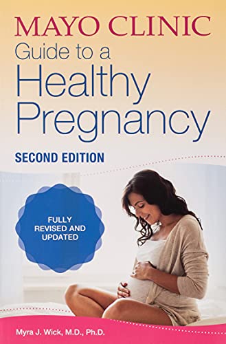 10 Best Pregnancy Books In 2023