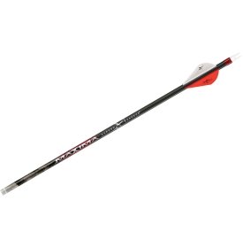10 Best Carbon Express Arrows For Huntings Of 2023 - To Buy Online