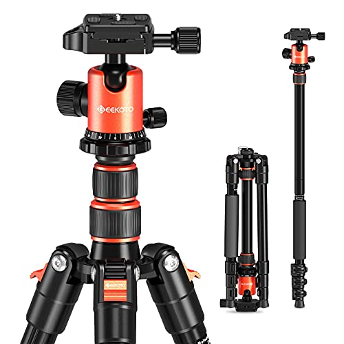 10 Best Sunpak Light Weight Tripods Of 2023 - To Buy Online