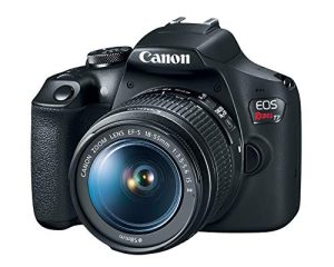Top 10 Best Canon Beginner Dslr Cameras - Our Recommended