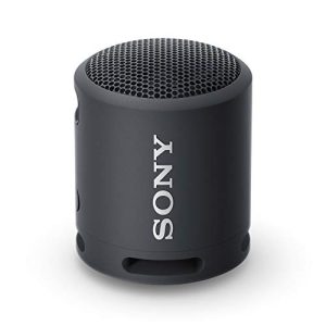 10 Best Sony Bluetooth Speakers Portables Of 2022 - To Buy Online