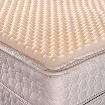 10 Best Geneva Mattress Toppers Eggs In 2023