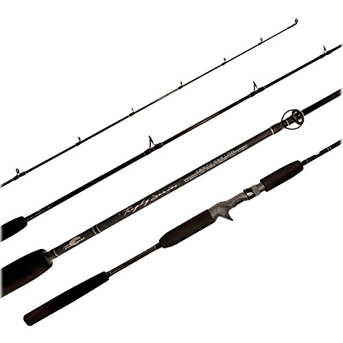 Top 10 Best Tsunami Jigging Rods - Our Recommended