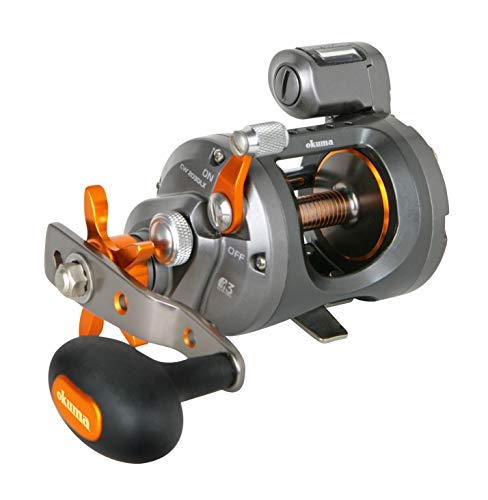 10 Best Daiwa Trolling Reels Of 2023 - To Buy Online