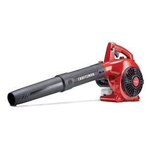 Top 10 Best Craftsman Gas Blowers - Our Recommended