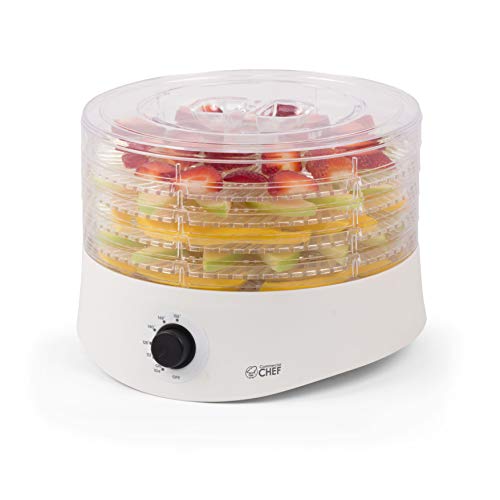 10 Best New Food Dehydrators Of 2023