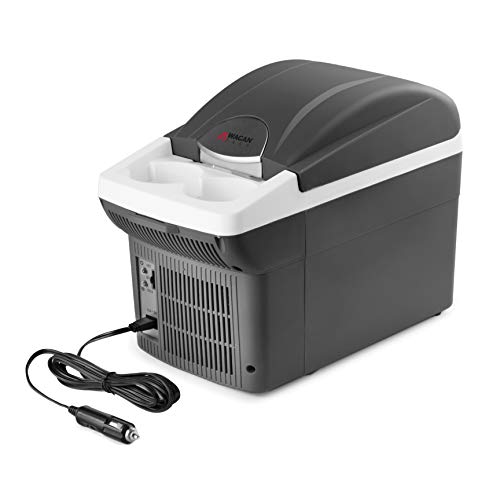 Top 10 Best Wagan Electric Cooler - Our Recommended