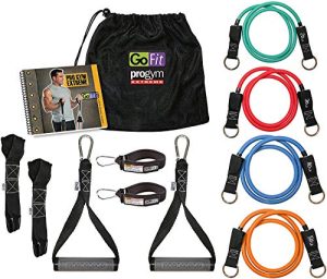Top 10 Best Gofit Resistance Bands Sets - Our Recommended