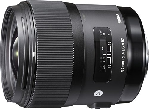 10 Best Sigma Portrait Lens For Nikons In 2022