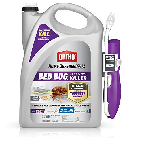 10 Best Ortho For Bed Bugs - Editoor Pick's