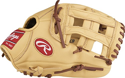 10 Best Rawlings Youth Baseball Gloves - Editoor Pick's