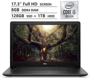 10 Best Dell 17 3 Inch Laptops Of 2022 - To Buy Online