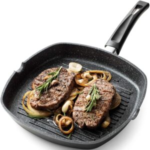 GOURMEX 11" Induction Grill Pan
